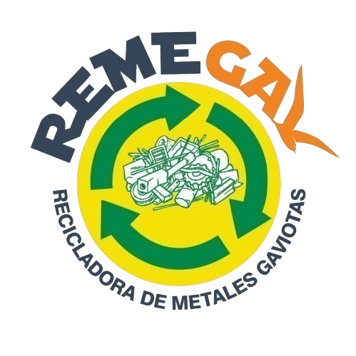 REMEGAV Logo